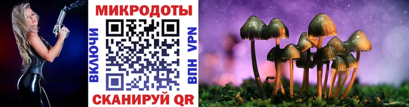 Псилоцибиновые грибы Cubensis  мориарти официальный сайт  Усмань 
