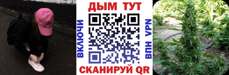 Бошки Шишки планчик Усмань